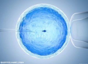 墨序生殖医学中心